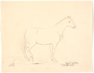 Ståhäst i profil t.h.