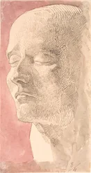 Studie efter Napoleons dödsmask