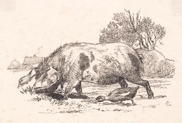 Grisen och ankan