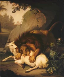 Ett lejon som angriper en get, 1785