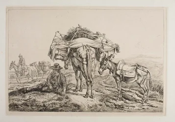 Lastad mula i Campagnan