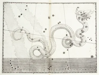 Stjärnbilden Ormens huvud och Ormens stjärt, ca 1603