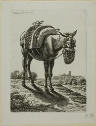 Feeding Mule - Front, från The Second Succession of Thieves