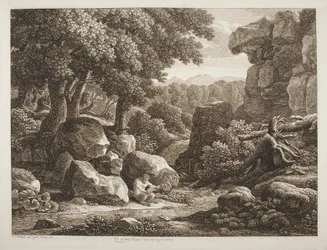 Skogslandskap