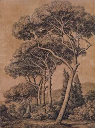 J C Reinhart Paraplytallar 1791