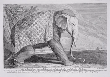 En elefant