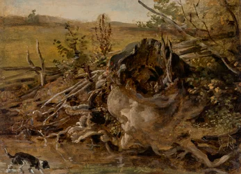 Ruttnande trädstubbe och jakthund