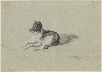 Två hundstudier