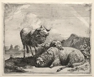 Vädur och två får, 1665.