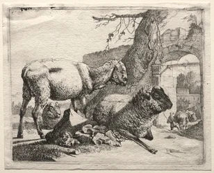 Muletern under porten