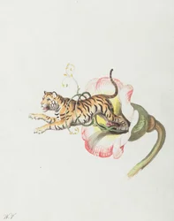 Tiger som hoppar från en blomkrona. Allegori om blomsterfrön, 1817.