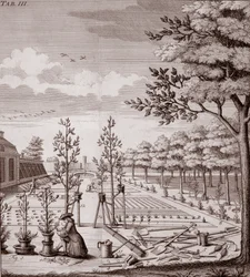 Illustration av en trädgårdsscen, 1753