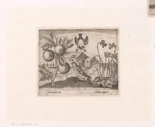 Serie av tryck med blommor och djur i ett landskap Landskap med citrusväxt, fåglar och violer Landskap med djur, växter och blommor (serietitel)