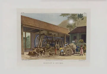 Sockerbruket. Ur Malerische Reise in Brasilien, 1830-1835