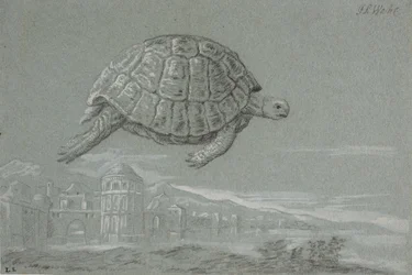 Studie av en sköldpadda och utsikten till en befäst stad vid havet (Venedig)