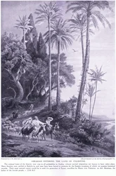 Abraham går in i Palestinas land 2250 f.Kr
