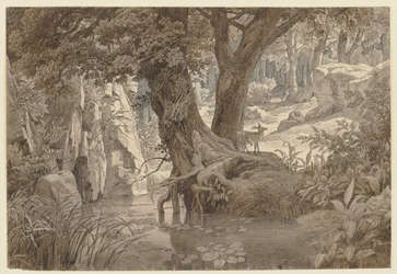 Skogslandskap