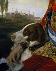 Hund, detalj från porträtt av Ferdinand av Bourbon, hertig av Parma