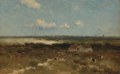 Dynlandskap