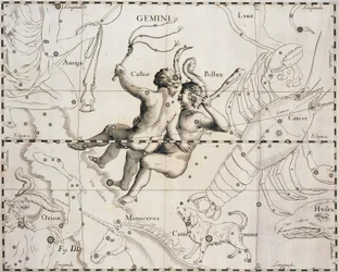 Stjärnbilden Tvillingarna, illustration från Firmamentum Sobiescianum sive Uranographia, av Johann Hevelius (1611-1687), Gdansk 1690