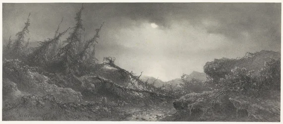 Av de Storm