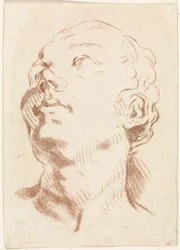 kvinnans huvud