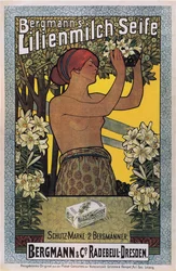 Bergmanns Lilienmilch-tvål, 1896
