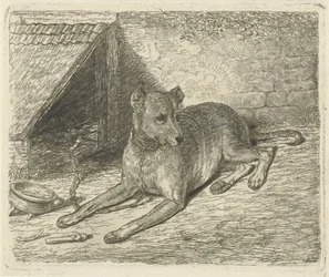 Hund på en kedja vid en hundkoja