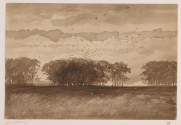 Rookery i Norra Brabant