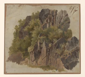 Stenar och vegetation