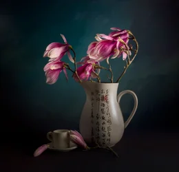 Elegant stilleben med magnolia