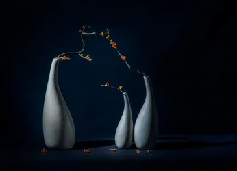 Eleganta vaser med blommor