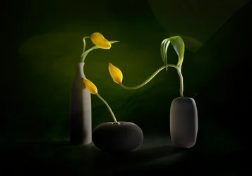 Gröna och gula blomvaser