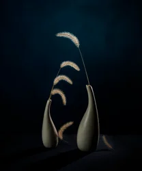 Moody botaniska vaser