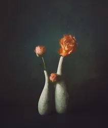 Vaser i färgen Moody Rose