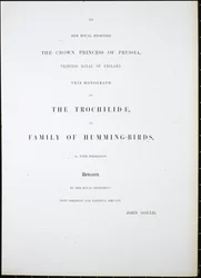 Frontispice (handfärgad litho)