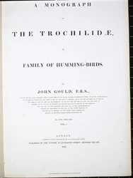Frontispice (handfärgad litho)