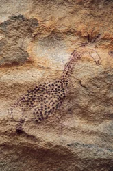 Giraff, grottmålning, Pastoralperiod (4000-2500 f.Kr.), Tassili n