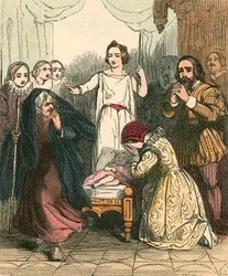 Den goda feens utseende