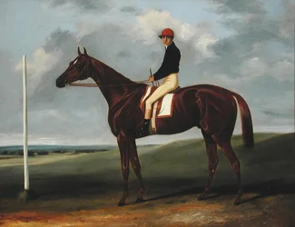 Kastanjeföl med Jockey upp och startstolpe (olja på duk)