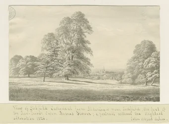 Lichfield Cathedral - Utsikt från Aldershaw (avlägsen): sepiateckning