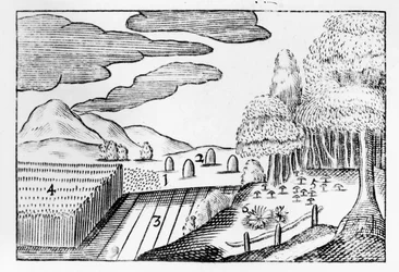 Jordens frukter, 1658