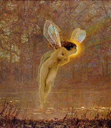 Iris, detalj av fen.