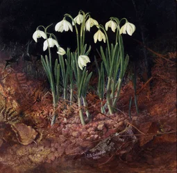 Perce neige (perce-neige). Målning av John Atkinson Grimshaw (1836-1893)