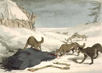 Wolf Hunt, skylt 74 från volym III av "Ryssarnas seder, seder och nöjen", graverad av konstnären, pub. 1804 (akvatint)