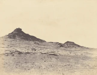 [Fältstudier nära Gebel Abousir, andra grå starr].