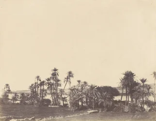 Nilen, Kalabsché