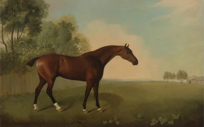 En brun häst på ett fält, 1778