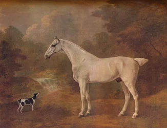 En loppbiten grå och en fläckig terrier, 1803.