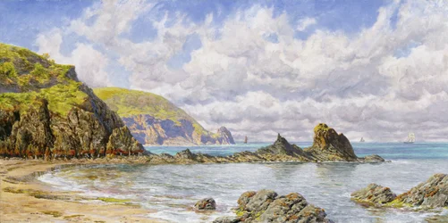 Forest Cove, Cardigan Bay
